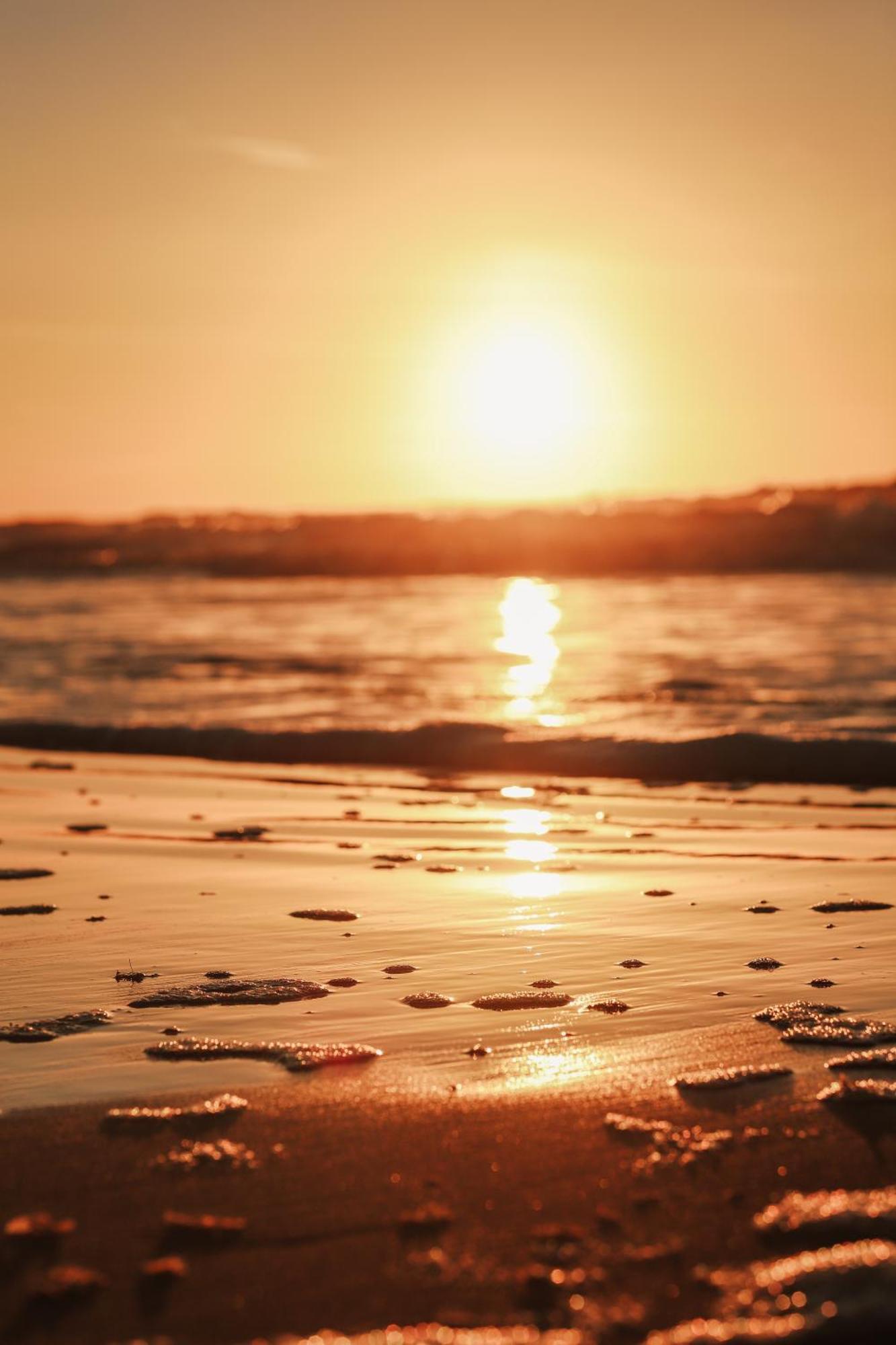Strandhuisjes Zoomers Aan Zee 卡斯特里科姆 外观 照片